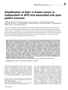 Amplification of 8Q21 in Breast Cancer Is Independent of MYC and Associated with Poor Patient Outcome