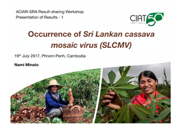 Occurrence of Sri Lankan Cassava Mosaic Virus