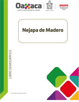 Nejapa De Madero Región