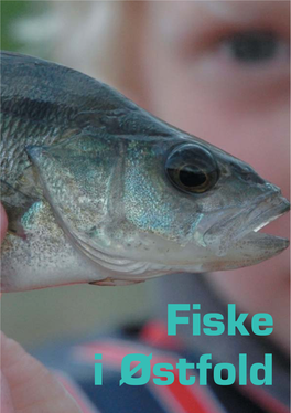 Fiske I Østfold