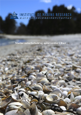 Marine Naturforhold Og Naturverdier I Raet Prosjektrapport Til