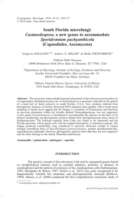 Castanedospora, a New Genus to Accommodate Sporidesmium