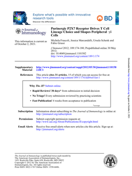 Cells Δγ Lineage Choice and Shapes Peripheral Purinergic P2X7