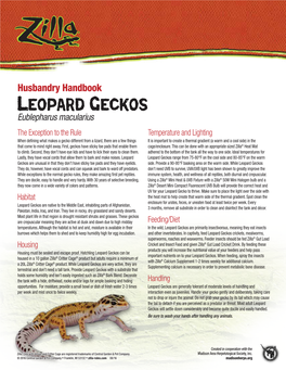 Leopard Geckos