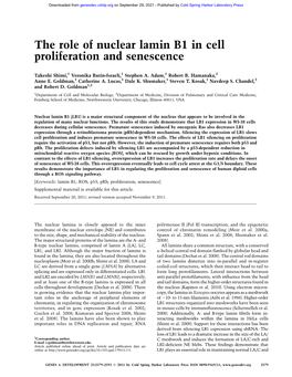 The Role of Nuclear Lamin B1 in Cell Proliferation and Senescence