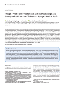 Phosphorylation of Synaptojanin Differentially Regulates Endocytosis of Functionally Distinct Synaptic Vesicle Pools