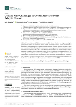 Old and New Challenges in Uveitis Associated with Behçet's Disease