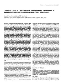 Circadian Clock in Cell Culture: II