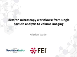 Electron Microscopy Workflows: from Single Particle Analysis to Volume Imaging