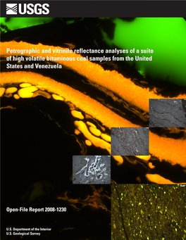 Petrographic and Vitrinite Reflectance Analyses of a Suite of High Volatile Bituminous Coal Samples from the United States and Venezuela