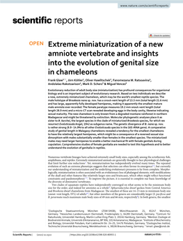 Extreme Miniaturization of a New Amniote Vertebrate and Insights Into the Evolution of Genital Size in Chameleons
