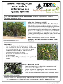 Species Profile for California Live Oak (Quercus Agrifolia)