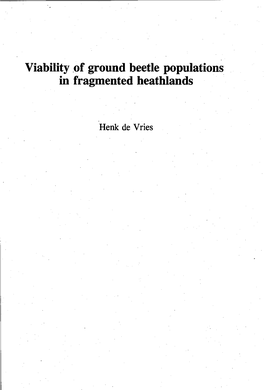 Viability of Ground Beetle Populations in Fragmented Heathlands