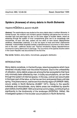 Spiders (Araneae) of Stony Debris in North Bohemia