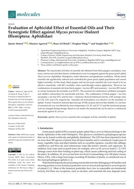 Evaluation of Aphicidal Effect of Essential Oils and Their Synergistic Effect Against Myzus Persicae (Sulzer) (Hemiptera: Aphididae)