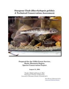 Sturgeon Chub (Macrhybopsis Gelida): a Technical Conservation Assessment