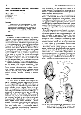 Orsima Simon Araneae:Salticidae a Remarkable Spider from Africa And