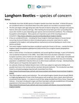 Longhorn Beetles – Species of Concern Status