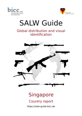 Singapore Country Report