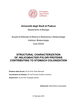 Structural Characterization of Helicobacter Pylori Proteins Contributing to Stomach Colonization