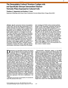 The Desmoplakin Carboxyl Terminus Coaligns with and Specifically Disrupts Intermediate Filament Networks When Expressed in Cultured Cells Thaddeus S