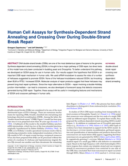 Human Cell Assays for Synthesis-Dependent Strand Annealing and Crossing Over During Double-Strand Break Repair