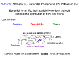 Nutrients: Nitrogen (N), Sulfur (S), Phosphorus (P), Potassium (K)