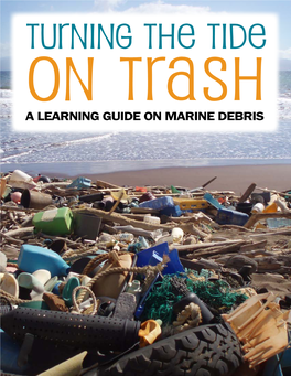 Turning the Tide on Trash: Great Lakes