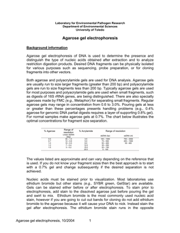 Agarose Gel Electrophoresis