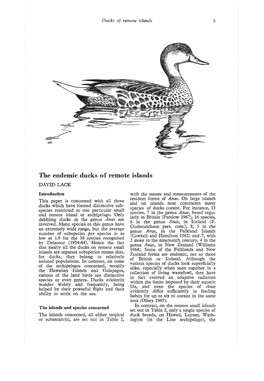 The Endemic Ducks of Remote Islands DAVID LACK Introduction with the Names and Measurements of the Resident Forms of Anas