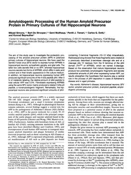 Amyloidogenic Processing of the Human Amyloid Precursor Protein in Primary Cultures of Rat Hippocampal Neurons