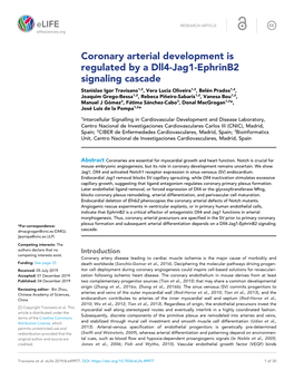 Coronary Arterial Development Is Regulated by a Dll4-Jag1-Ephrinb2 Signaling Cascade