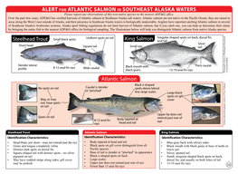 Atlantic Salmon Alert