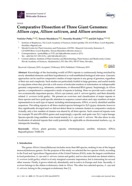 Comparative Dissection of Three Giant Genomes: Allium Cepa, Allium Sativum, and Allium Ursinum