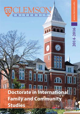 Doctorate in International Family and Community Studies 2 - Doctorate in International Family and Community Studies