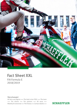 Fact Sheet XXL, FIA Formula E, 2018/2019