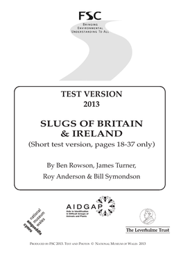 Slugs of Britain & Ireland