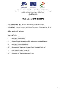 B-Solutions FINAL REPORT by the EXPERT