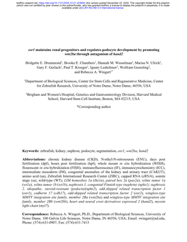 Osr1 Maintains Renal Progenitors and Regulates Podocyte Development by Promoting Wnt2ba Through Antagonism of Hand2