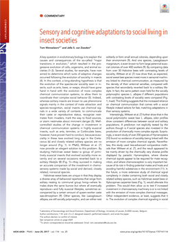 Sensory and Cognitive Adaptations to Social Living in Insect Societies Tom Wenseleersa,1 and Jelle S