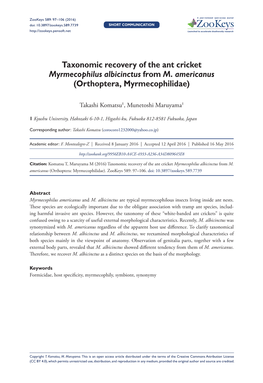 Taxonomic Recovery of the Ant Cricket Myrmecophilus Albicinctus from M. Americanus (Orthoptera, Myrmecophilidae)
