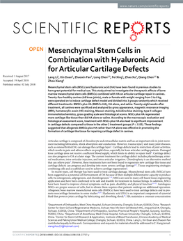 Mesenchymal Stem Cells in Combination with Hyaluronic Acid