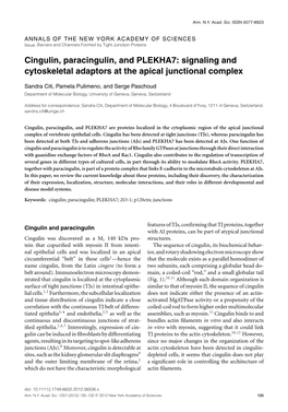 Cingulin, Paracingulin, and PLEKHA7: Signaling and Cytoskeletal Adaptors at the Apical Junctional Complex