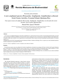 A New Amphipod Species (Peracarida: Amphipoda