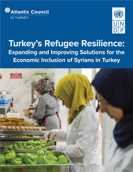 Turkey's Refugee Resilience: Expanding and Improving Solutions for the Economic Inclusion of Syrians in Turkey