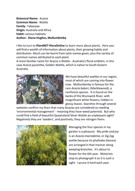 Botanical Name: Acacia Common Name: Wattle Family: Fabaceae Origin: Australia and Africa Habit: Various Habitats Author: Diana Hughes, Mullumbimby