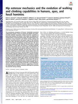 Hip Extensor Mechanics and the Evolution of Walking and Climbing Capabilities in Humans, Apes, and Fossil Hominins