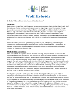 Wolf Hybrids