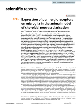 Expression of Purinergic Receptors on Microglia in the Animal Model Of