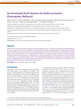 An Annotated Draft Genome for Radix Auricularia (Gastropoda, Mollusca)